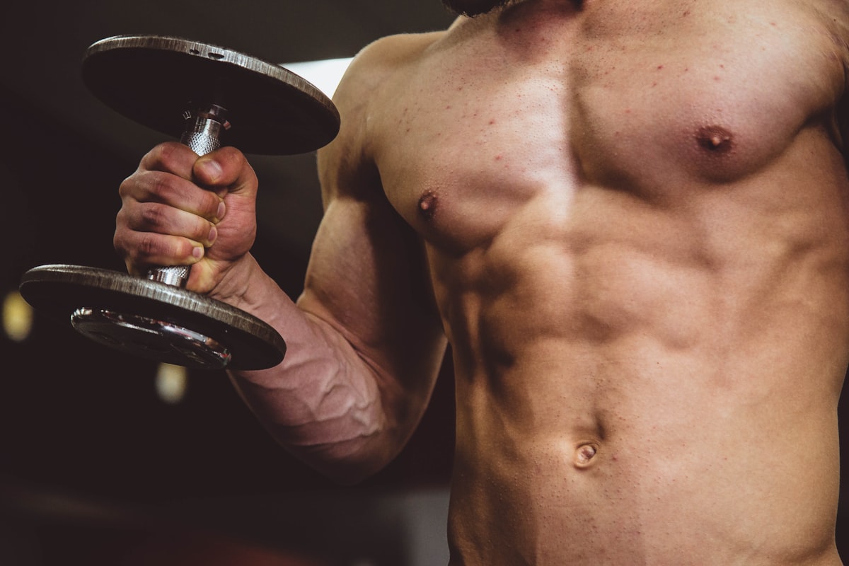 Muscle building nutrition guide